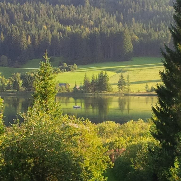 Seehaus Verena Weissensee Ruang foto