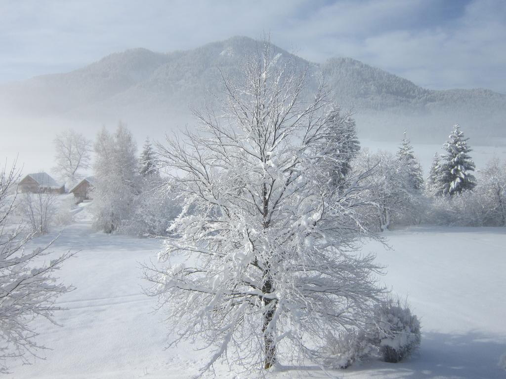 Seehaus Verena Weissensee Bagian luar foto